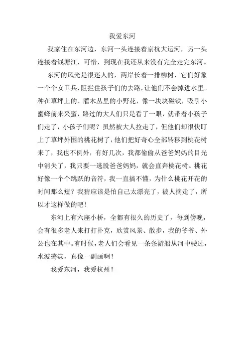 我爱东河