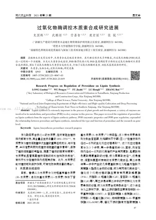 过氧化物酶调控木质素合成研究进展
