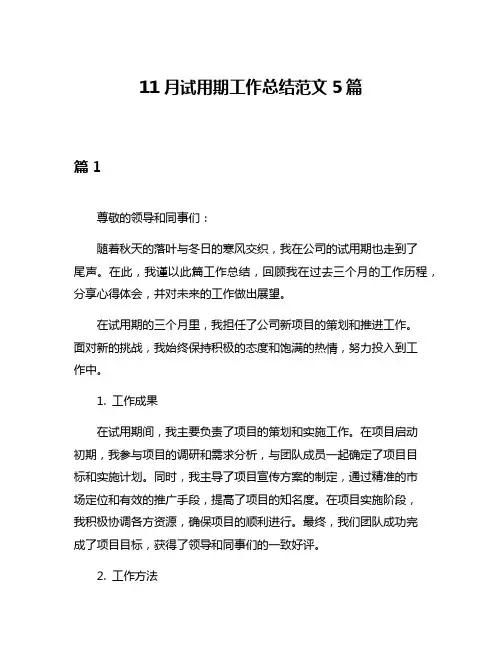 11月试用期工作总结范文5篇