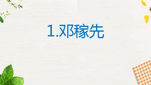 《邓稼先》PPT精品课件