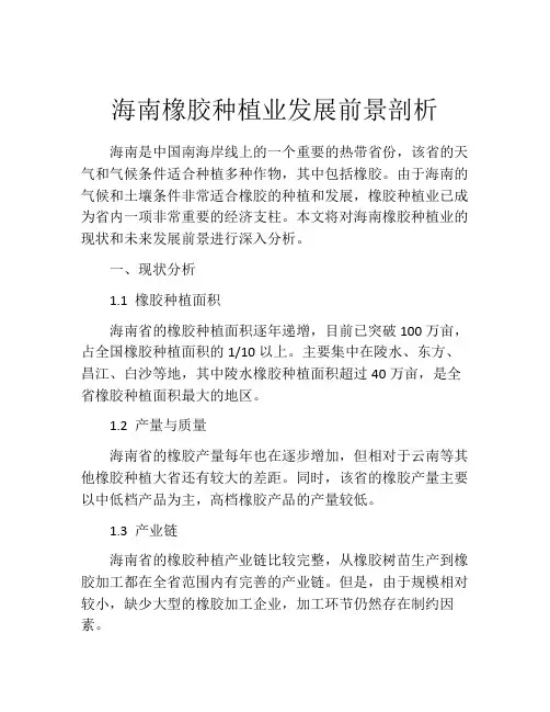海南橡胶种植业发展前景剖析