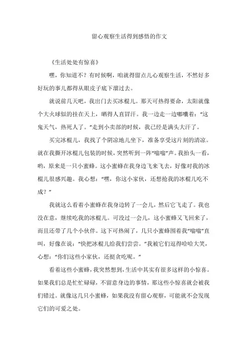 留心观察生活得到感悟的作文