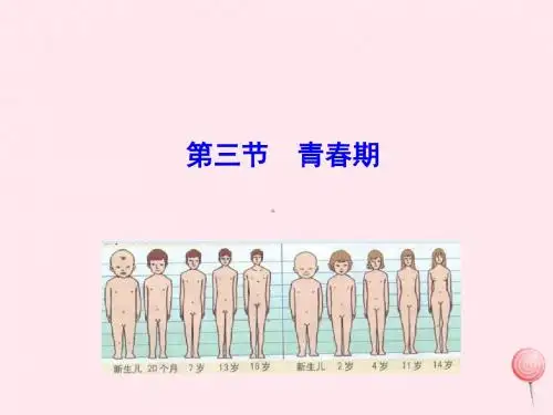 七年级生物下册4.1.3青春期课件新版新人教版
