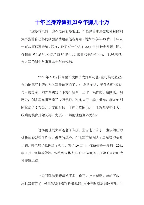 十年坚持养狐狸 如今年赚几十万