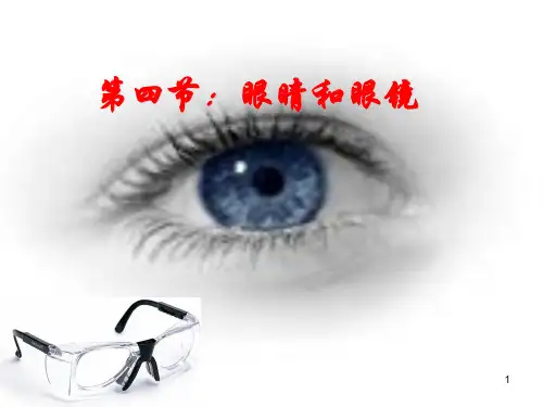 四 眼睛和眼镜课件