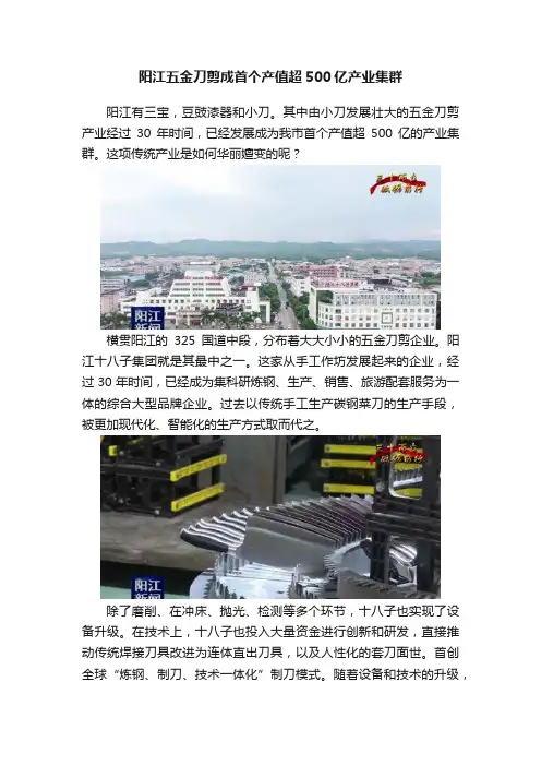 阳江五金刀剪成首个产值超500亿产业集群