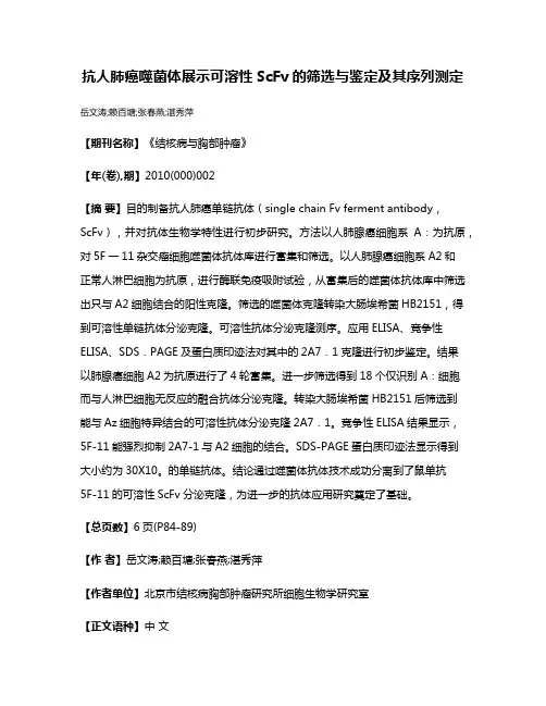 抗人肺癌噬菌体展示可溶性ScFv的筛选与鉴定及其序列测定
