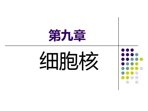 9.细胞核.