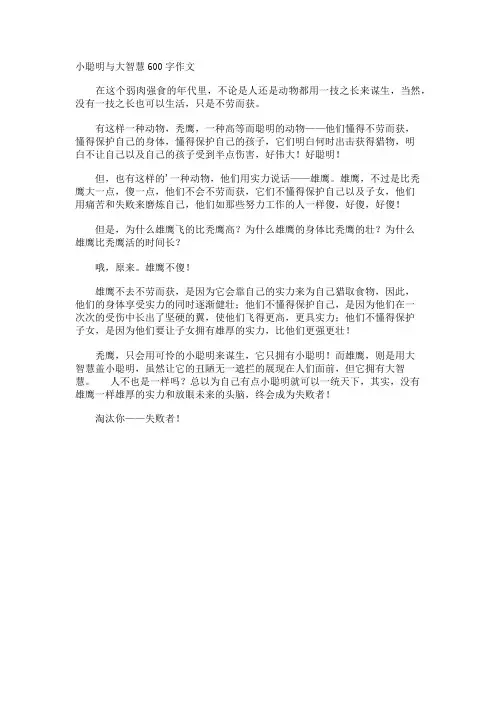 小聪明与大智慧600字作文