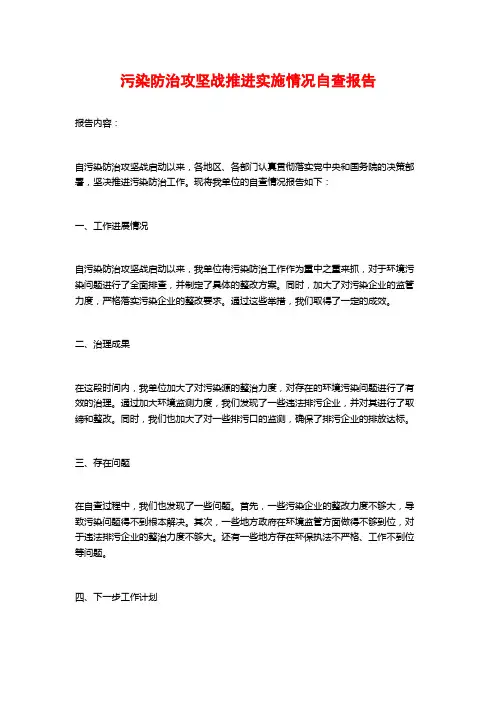 污染防治攻坚战推进实施情况自查报告