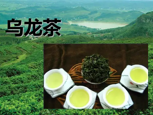 茶艺  大红袍