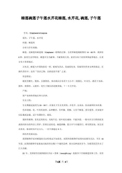 睡莲碗莲子午莲水芹花睡莲,水芹花,碗莲,子午莲