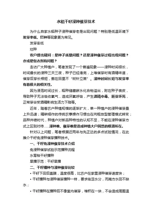 水稻干籽浸种催芽技术