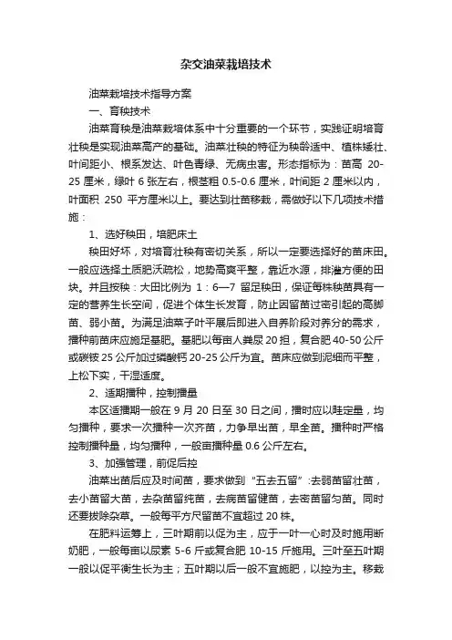 杂交油菜栽培技术