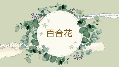 统编版高中语文必修上册3.1《百合花》课件(共23张PPT).ppt