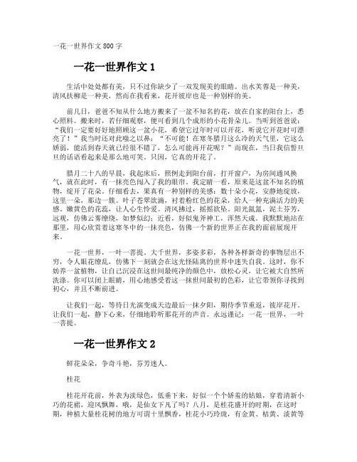 一花一世界作文800字