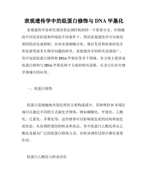 表观遗传学中的组蛋白修饰与DNA甲基化