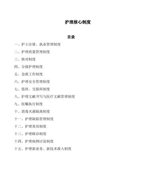 护理核心新版制度