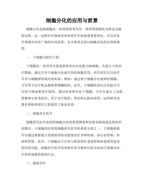 细胞分化的应用与前景
