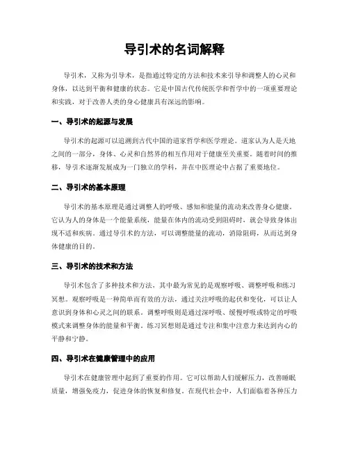 导引术的名词解释