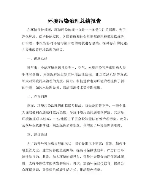 环境污染治理总结报告