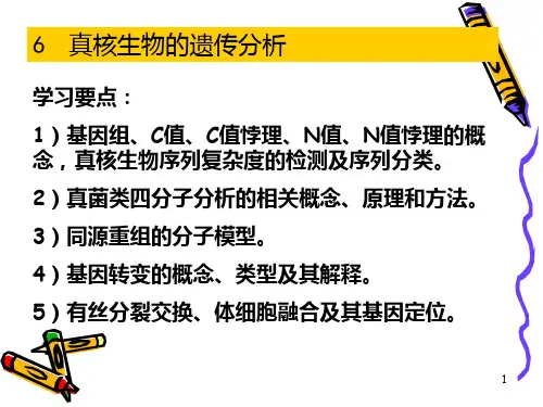 6 真核生物的遗传分析2PPT课件