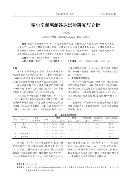 霍尔辛赫煤泥浮选试验研究与分析