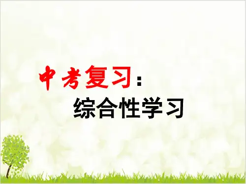 中考语文-《-综合性学习》课件【2024版】