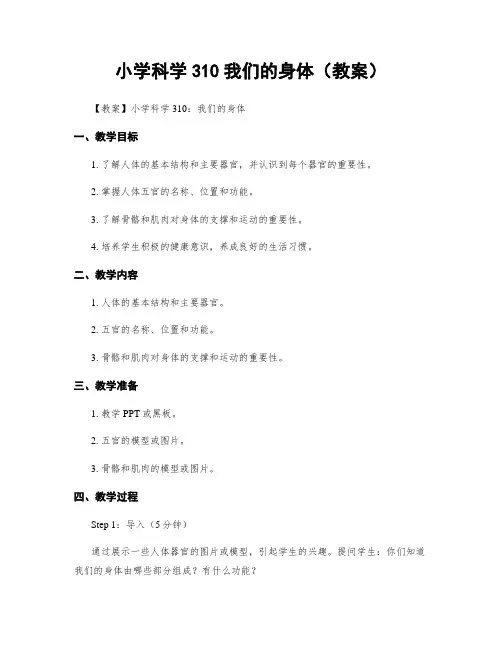 小学科学310我们的身体(教案)