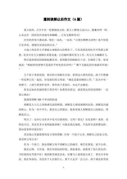遭到误解以后作文(6篇)