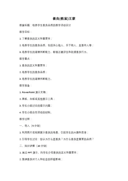 善良(教案)王蒙