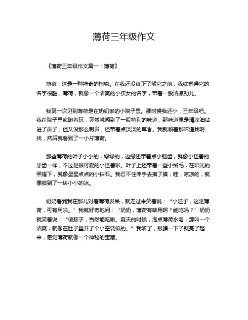 薄荷三年级作文