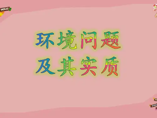 27环境问题及其实质