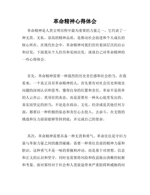 革命精神心得体会