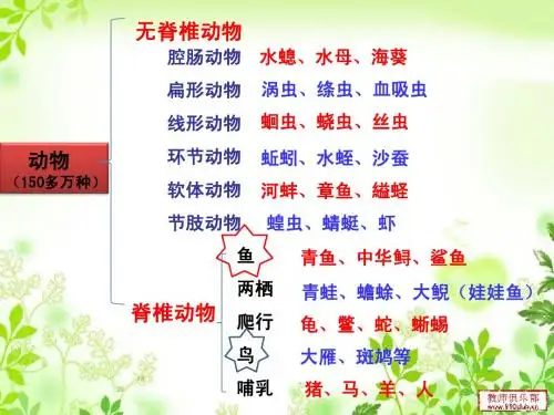 脊椎动物复习课件 (2)