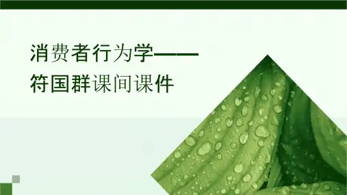 消费者行为学符国群课间课件