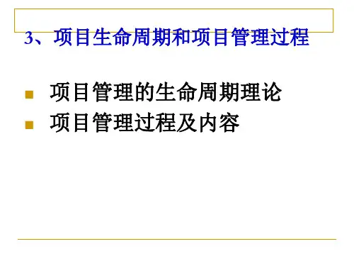 项目生命周期和项目管理过程概述(1).ppt