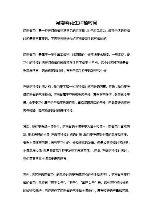 河南春花生种植时间