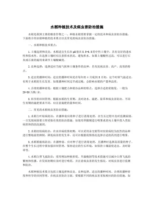 水稻种植技术及病虫害防治措施