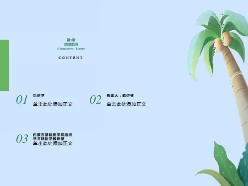 组织学第3章结缔组织