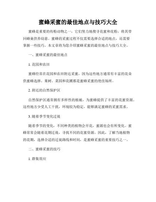 蜜蜂采蜜的最佳地点与技巧大全