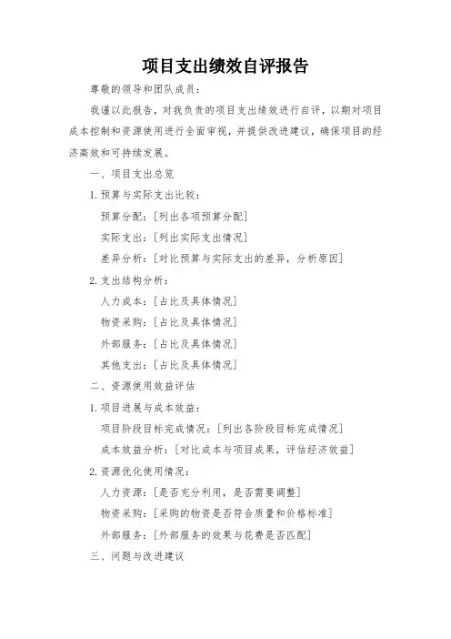 项目支出绩效自评报告