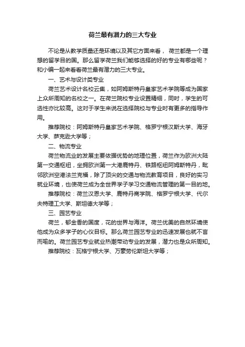 荷兰最有潜力的三大专业