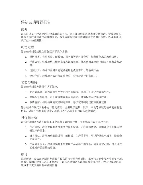 浮法玻璃可行报告