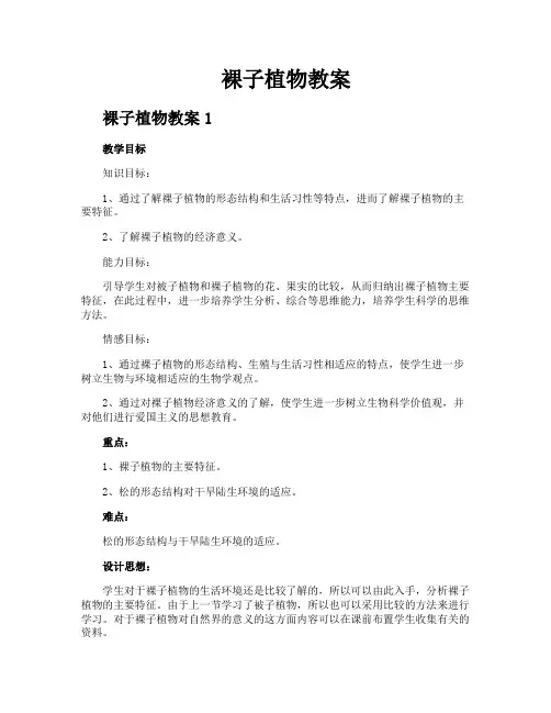 裸子植物教案