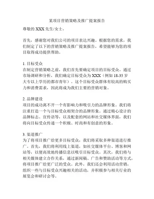 某项目营销策略及推广提案报告