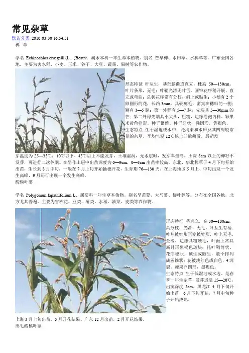 常见杂草大全