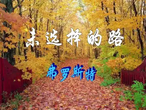 《未选择的路》ppt课件