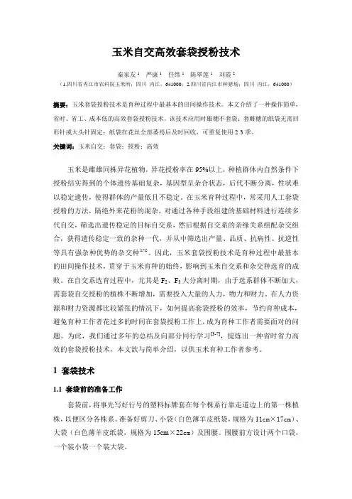 玉米自交高效套袋授粉技术