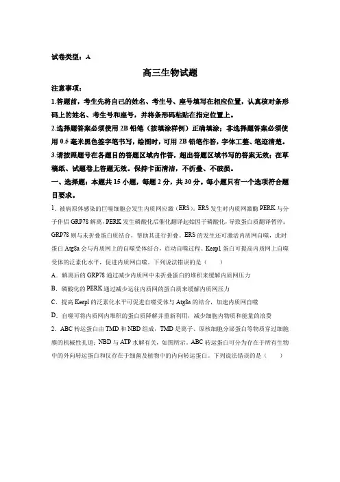 山东省滨州市2024届高三下学期二模 生物试题(含解析)